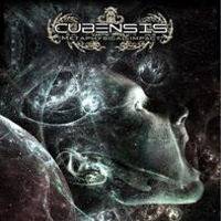 Cubensis-MetaphysicalImpact