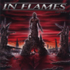 Inflames_colony